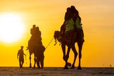 best-gujarat-tour-packages